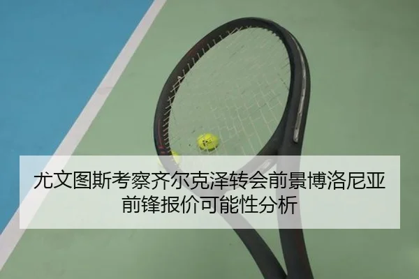 尤文图斯考察齐尔克泽转会前景博洛尼亚前锋报价可能性分析